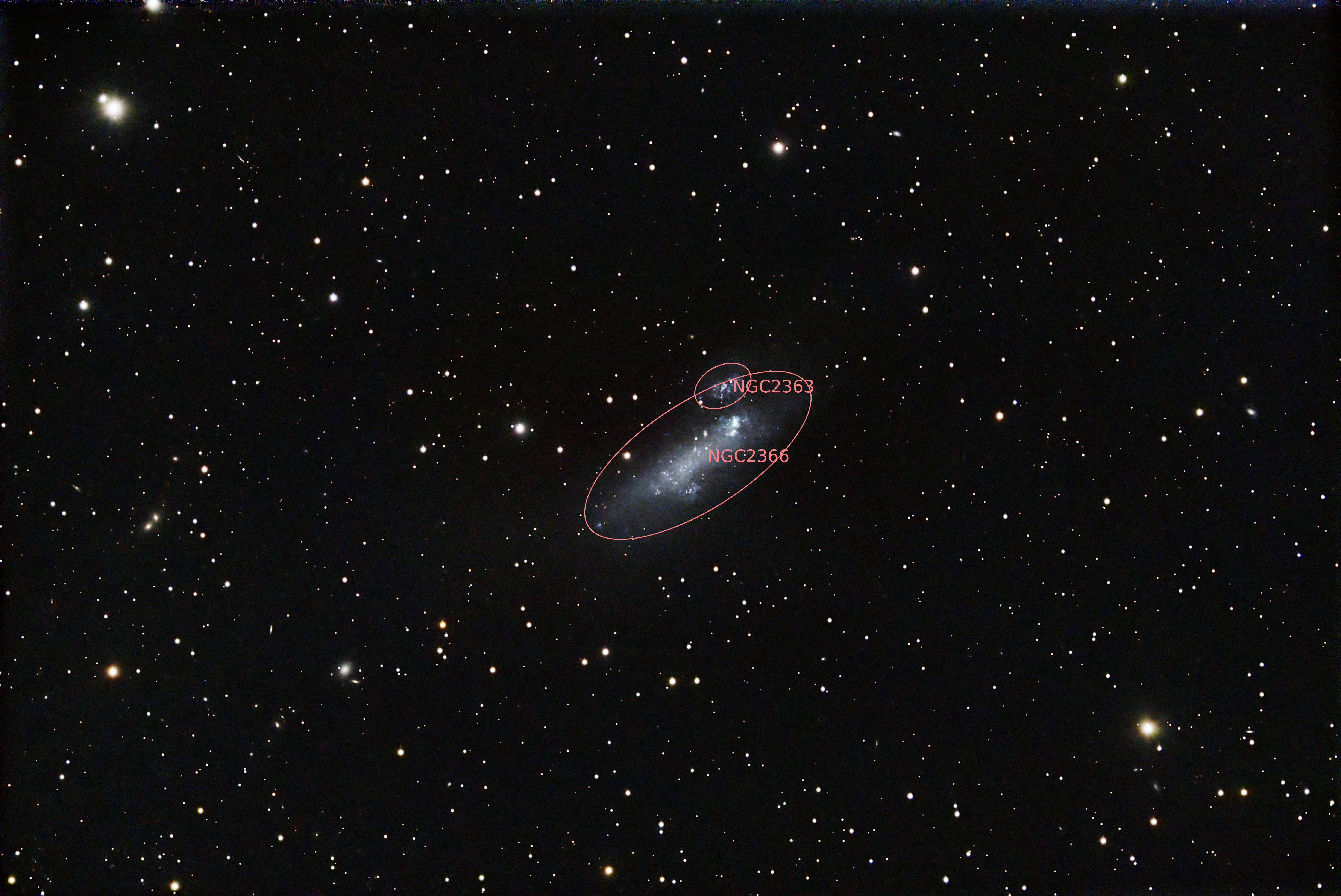NGC2366_plate.jpg