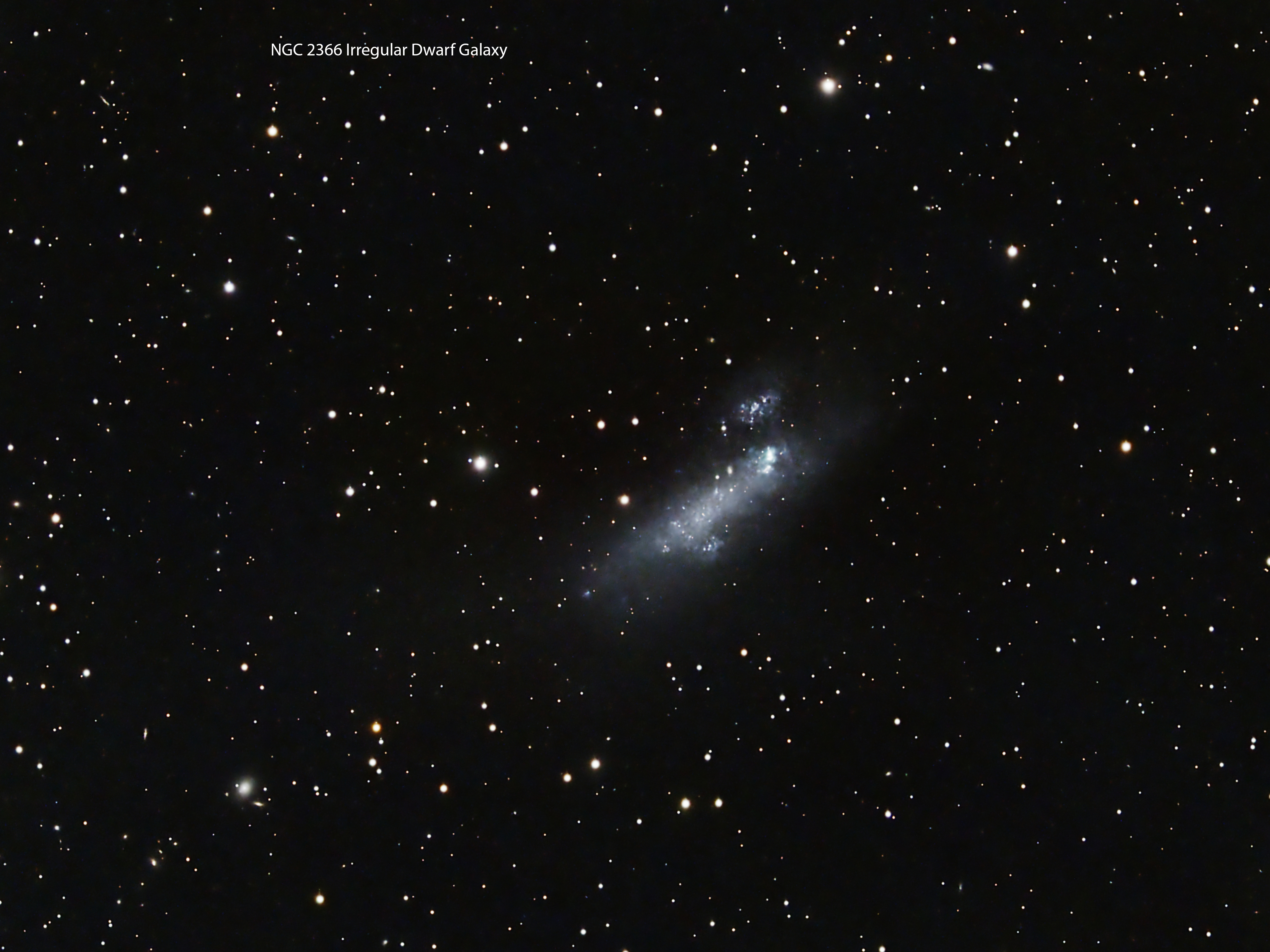 NGC 2366 Dwarf Galaxy.jpg