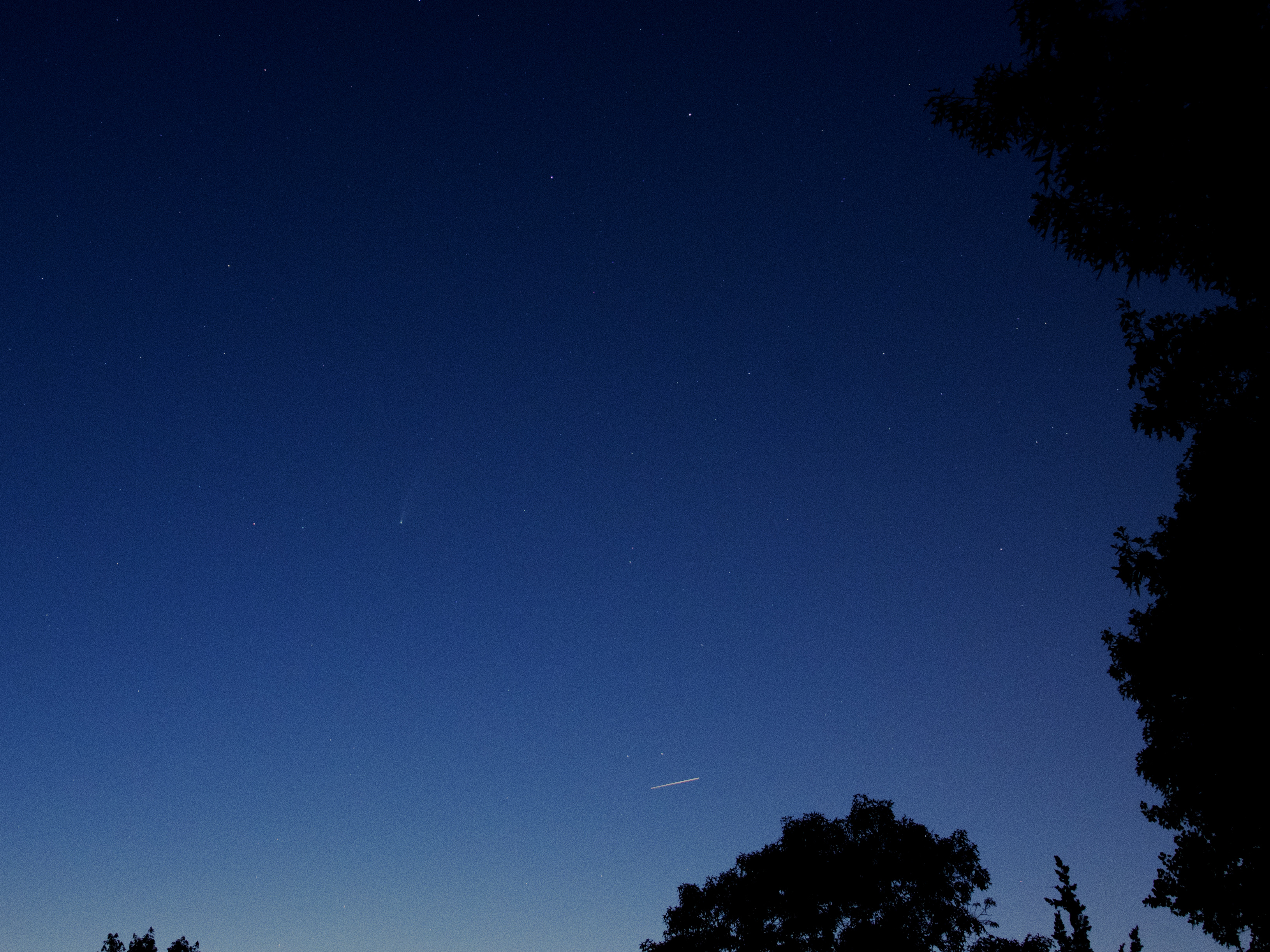 Comet Neowise and ISS-1.jpg