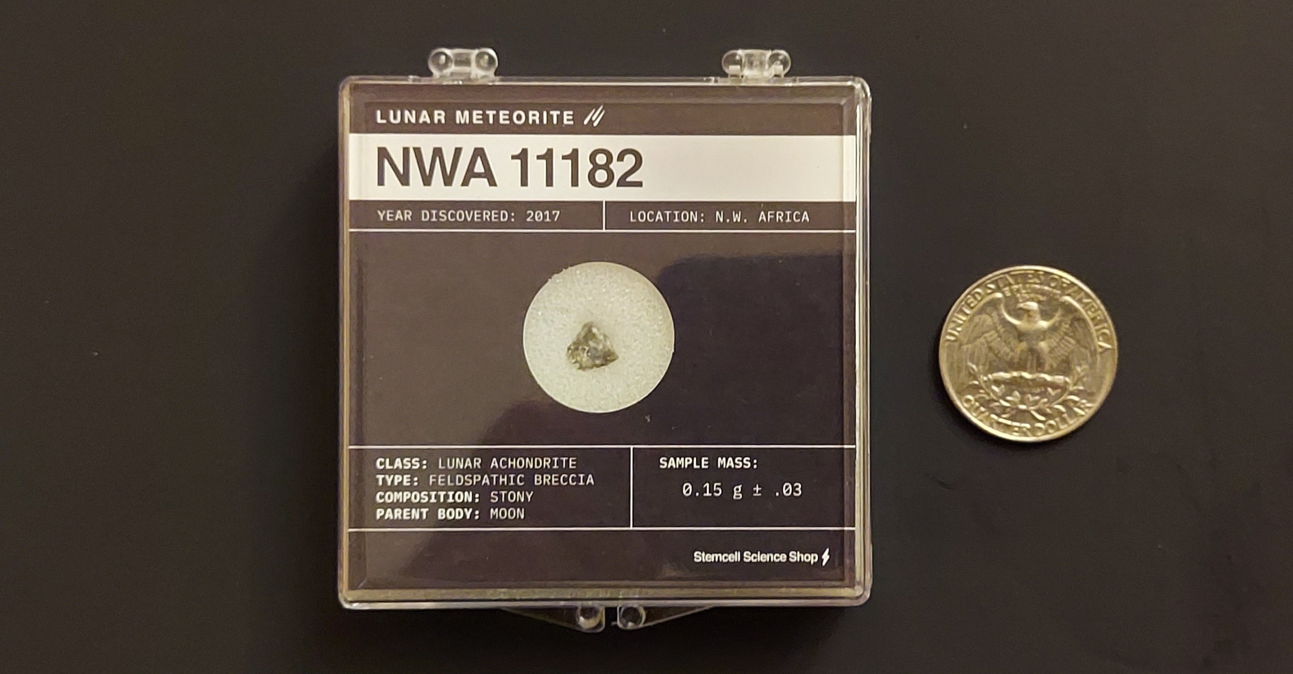 Lunar Meteorite NWA 11182.jpg