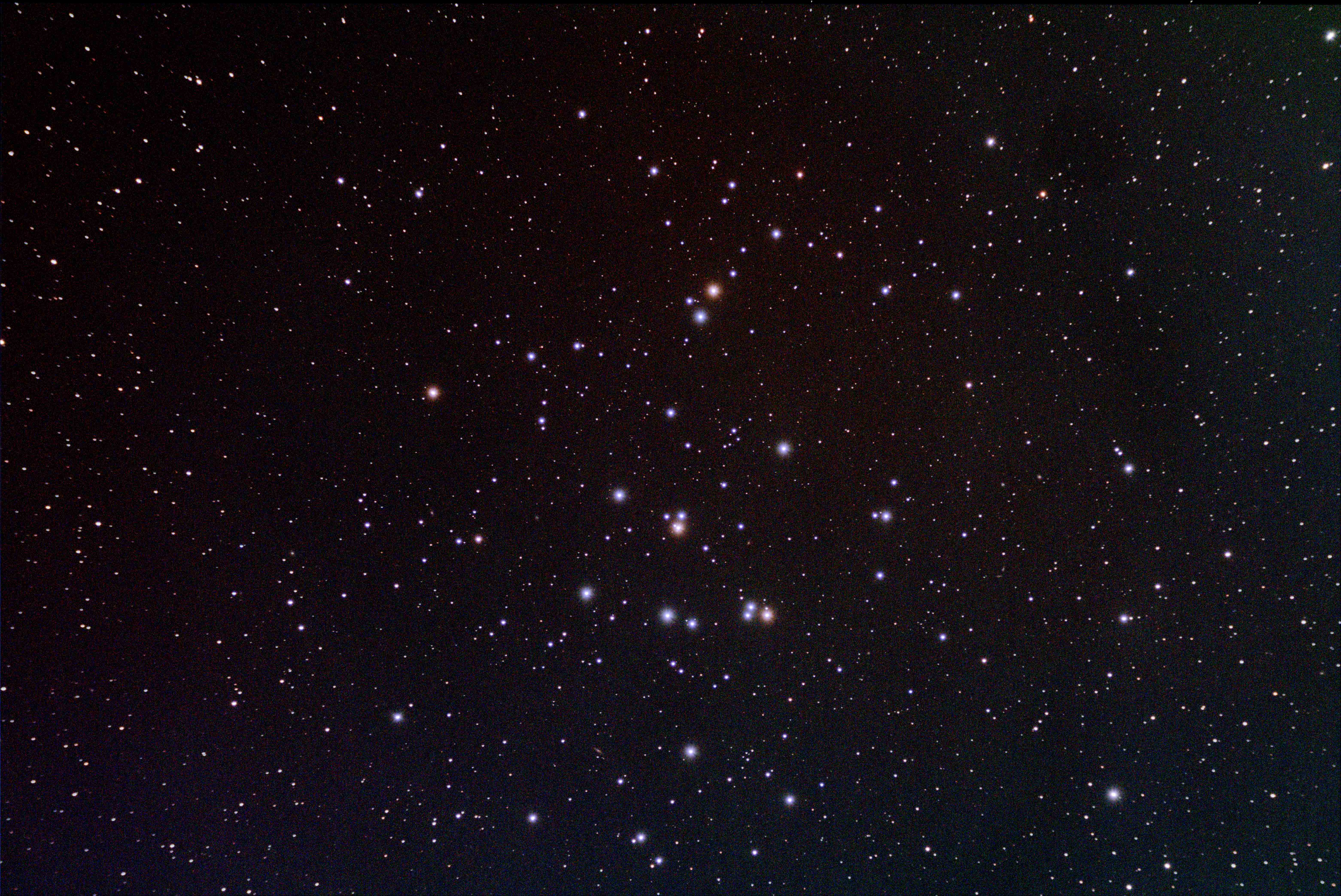 M44s.jpg